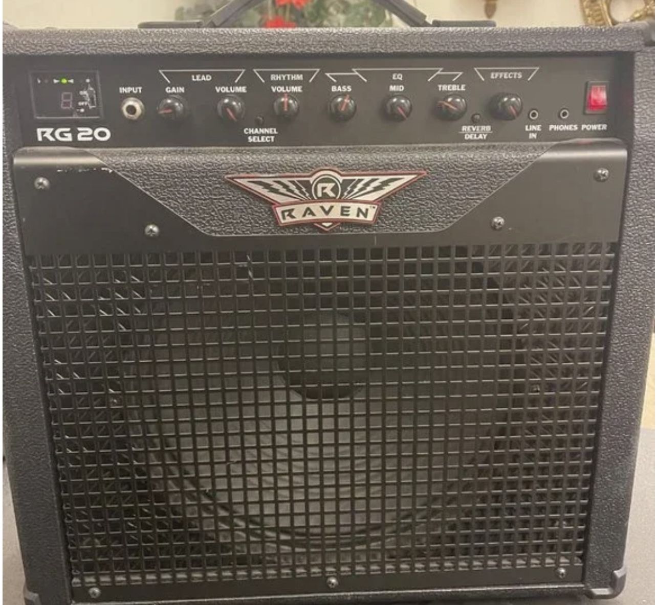 RG20 Raven Sound System used for a speaker & guitar