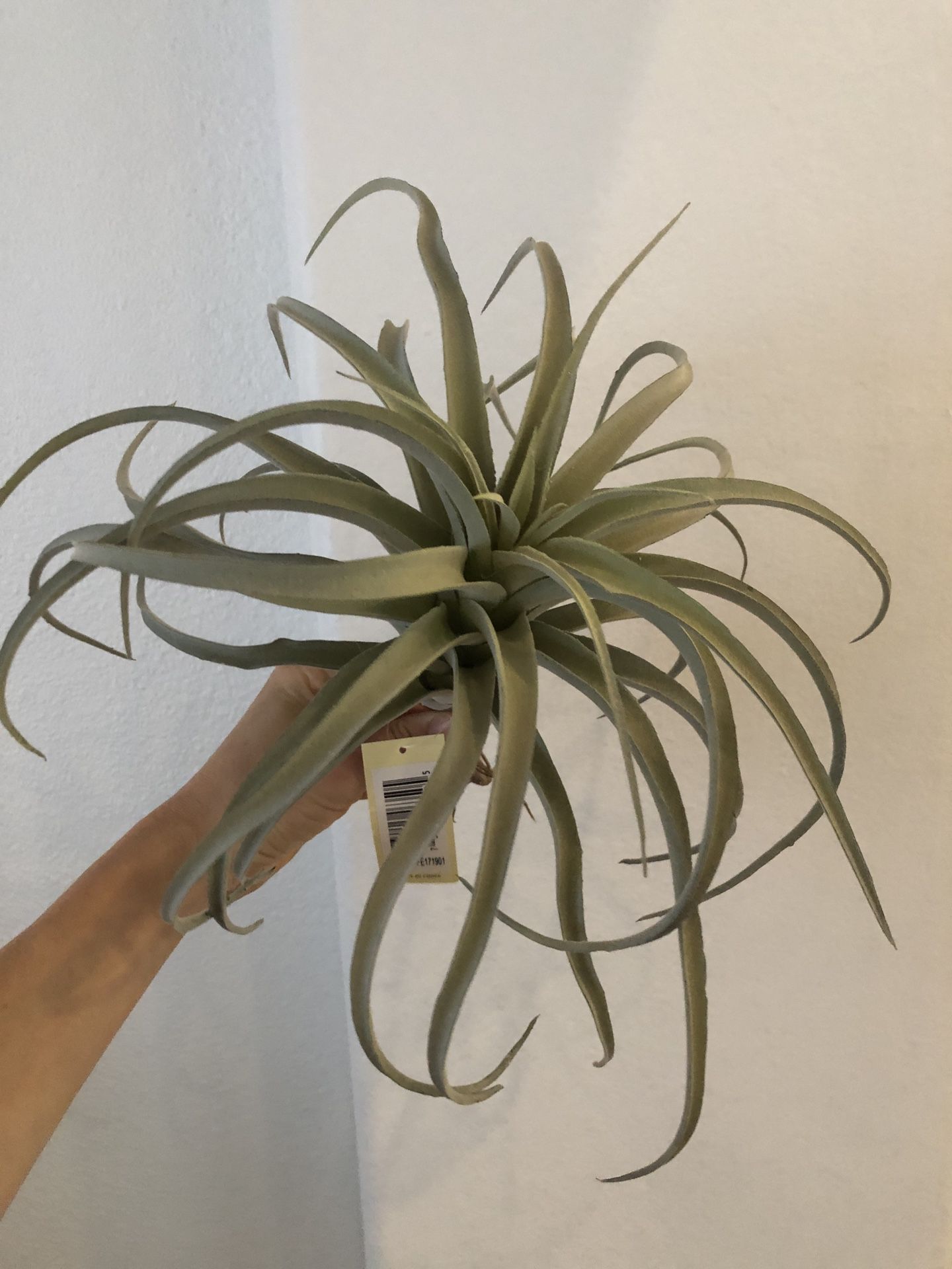 3 Fake Air Plants (big and looks real!)