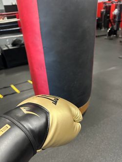 Boxing/sparring