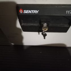 Sentry Gun Safe