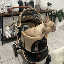 Dog Stroller