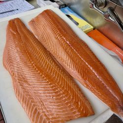 Queens Fishstore Help Wanted