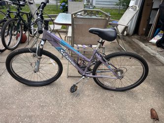 Purple Bike