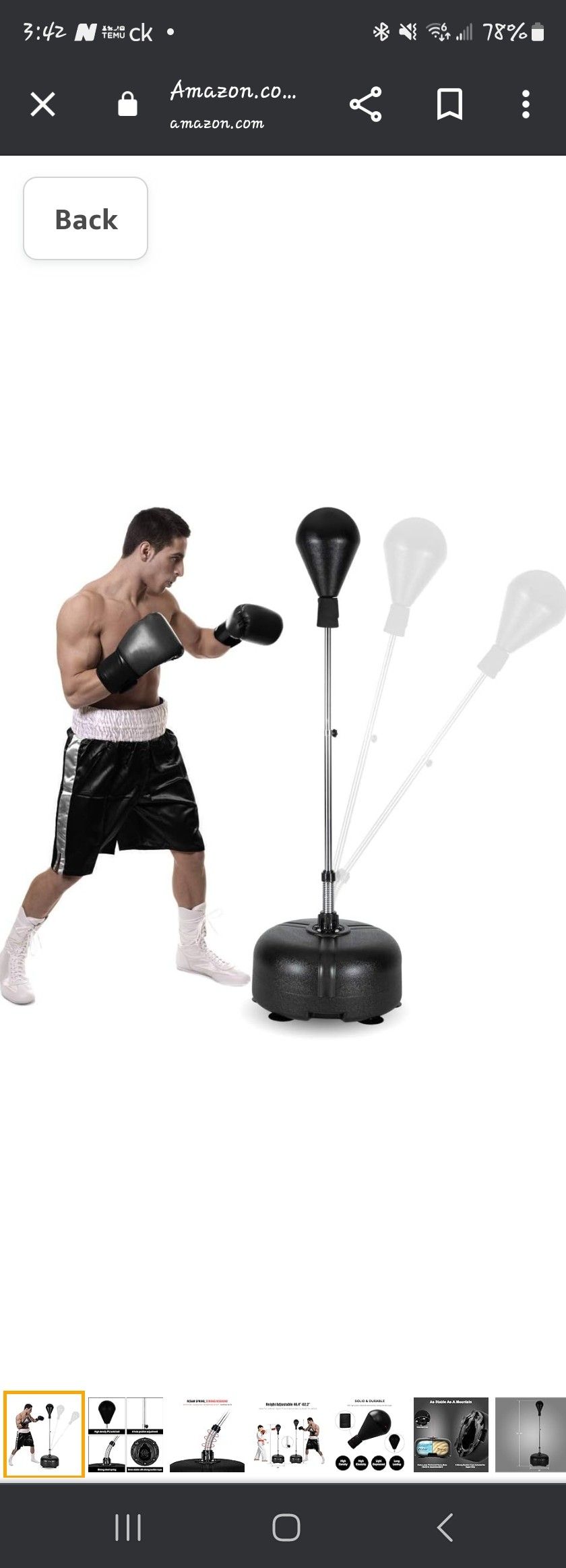 Stand Up Speed Bag And Gloves