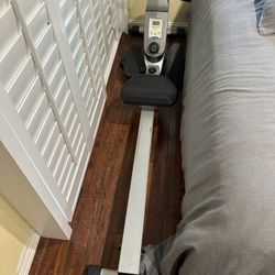 Sunny Magnetic Rowing Machine