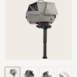 Tavo Maeve M Pet Protection System 