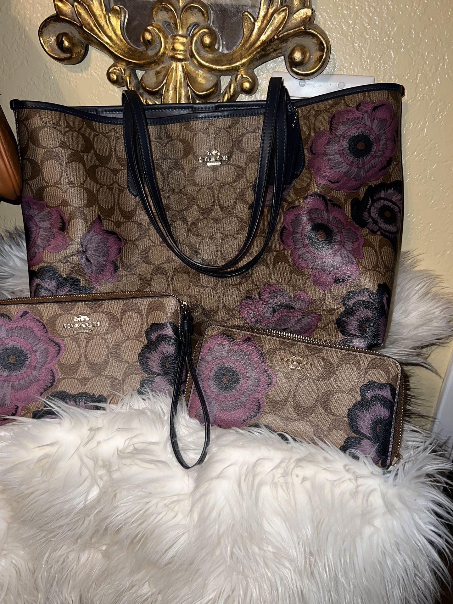 Gorgeous! Coach, Tote Bag And Wallet