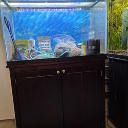 Aquarium & Stand 29 Gallon
