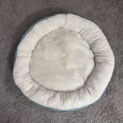 cat beds 