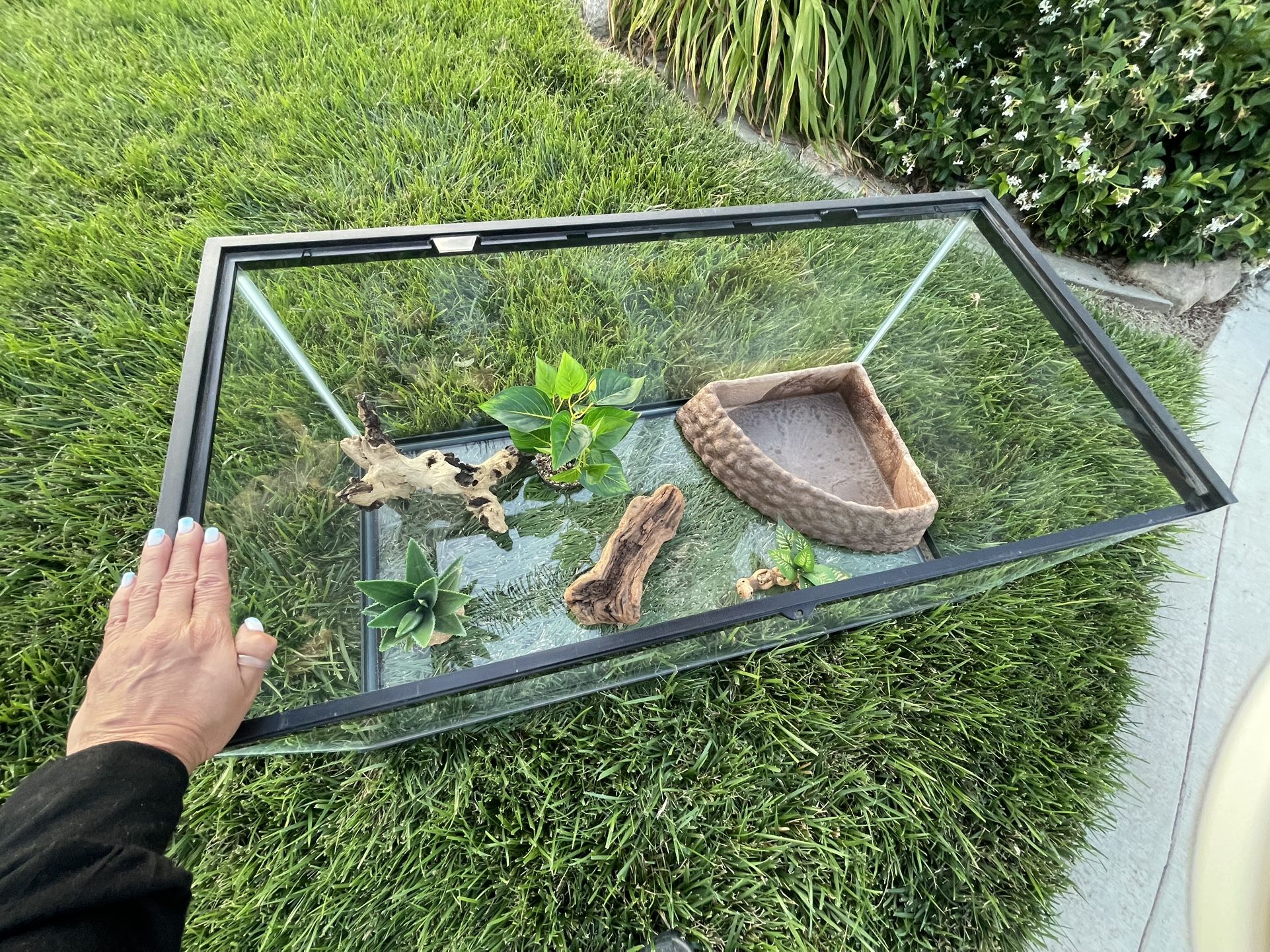 Reptile Aquarium, turtle, tortoise, lizard tank