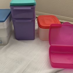 Storage box organizer
