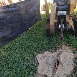 Stump Grinding 