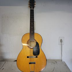 Beginners Acoustic guitar