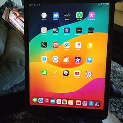 iPad  9  Gen  64  Gb