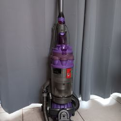 Dyson Animal