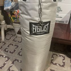 Everlast Punching Bag 