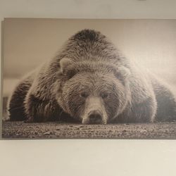 Bear Framed Canvas 