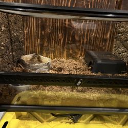 Reptile terrarium
