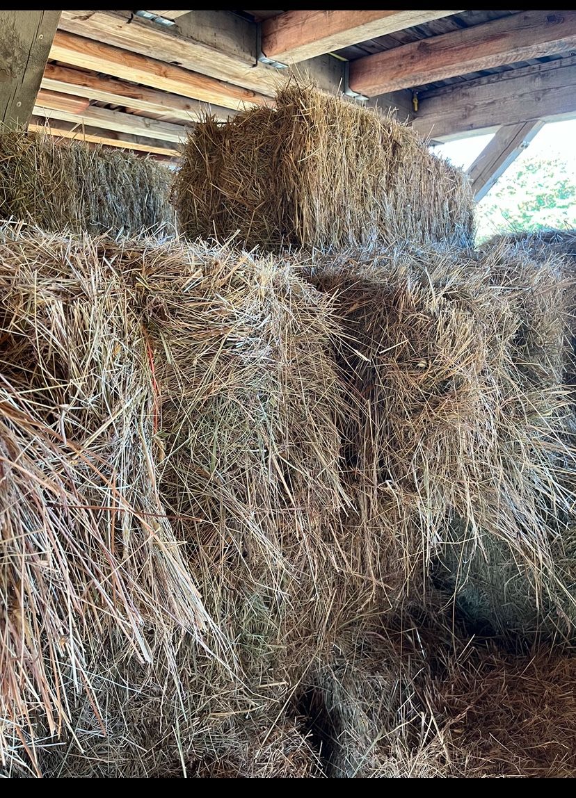 Local Hay $7