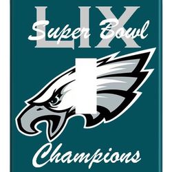 Eagles Light Switch Covers 