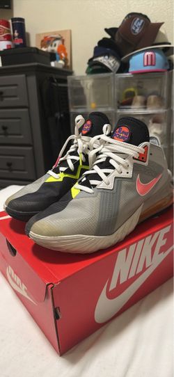 LeBron 18 bugs size 8