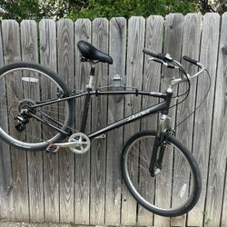 Del Sol Men's Lxi Flow 2 Cruiser Bike '19