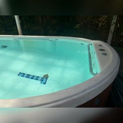 Dimension One Swim Spa - Good - Los Angeles, CA