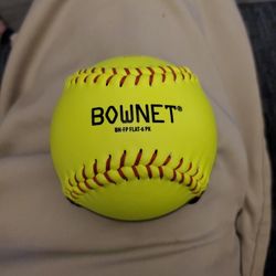 Bownet Flat Hit Hitting Trainer