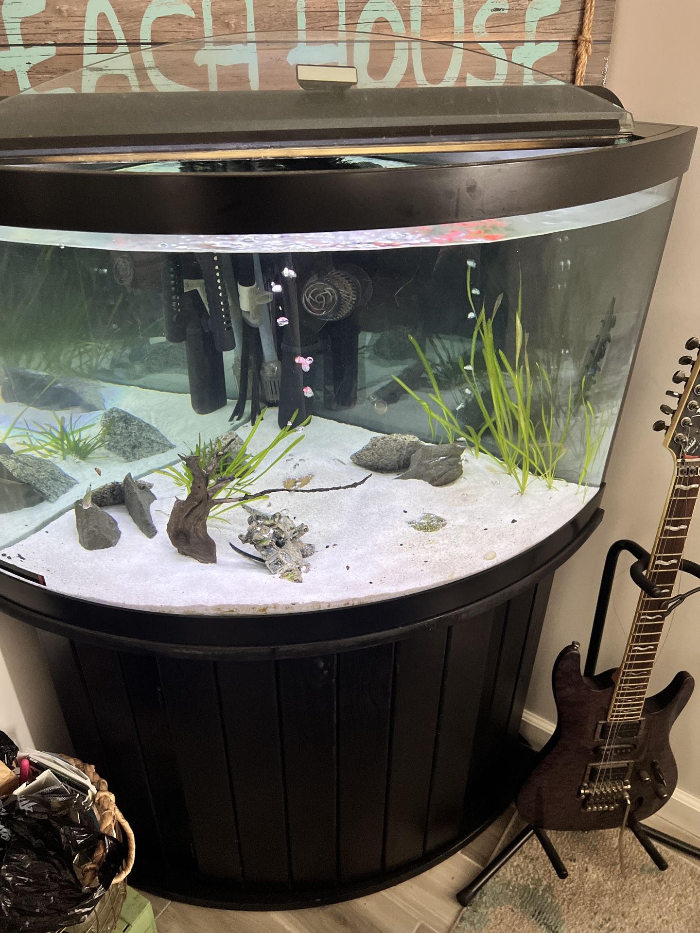54 Gallon Corner Bow Fish Tank & Stand + More