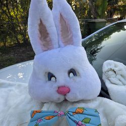 Bunny Costum