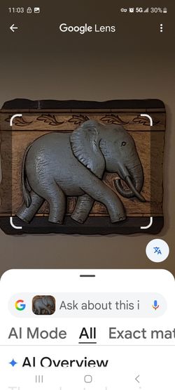 Plants, Nesting Chests and Elephant Plaques