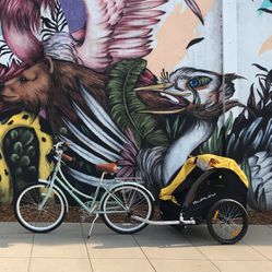 Burley Bee Kids Double Bike Trailer