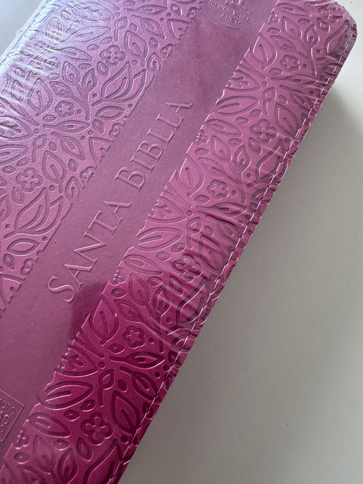 Bible - Biblia