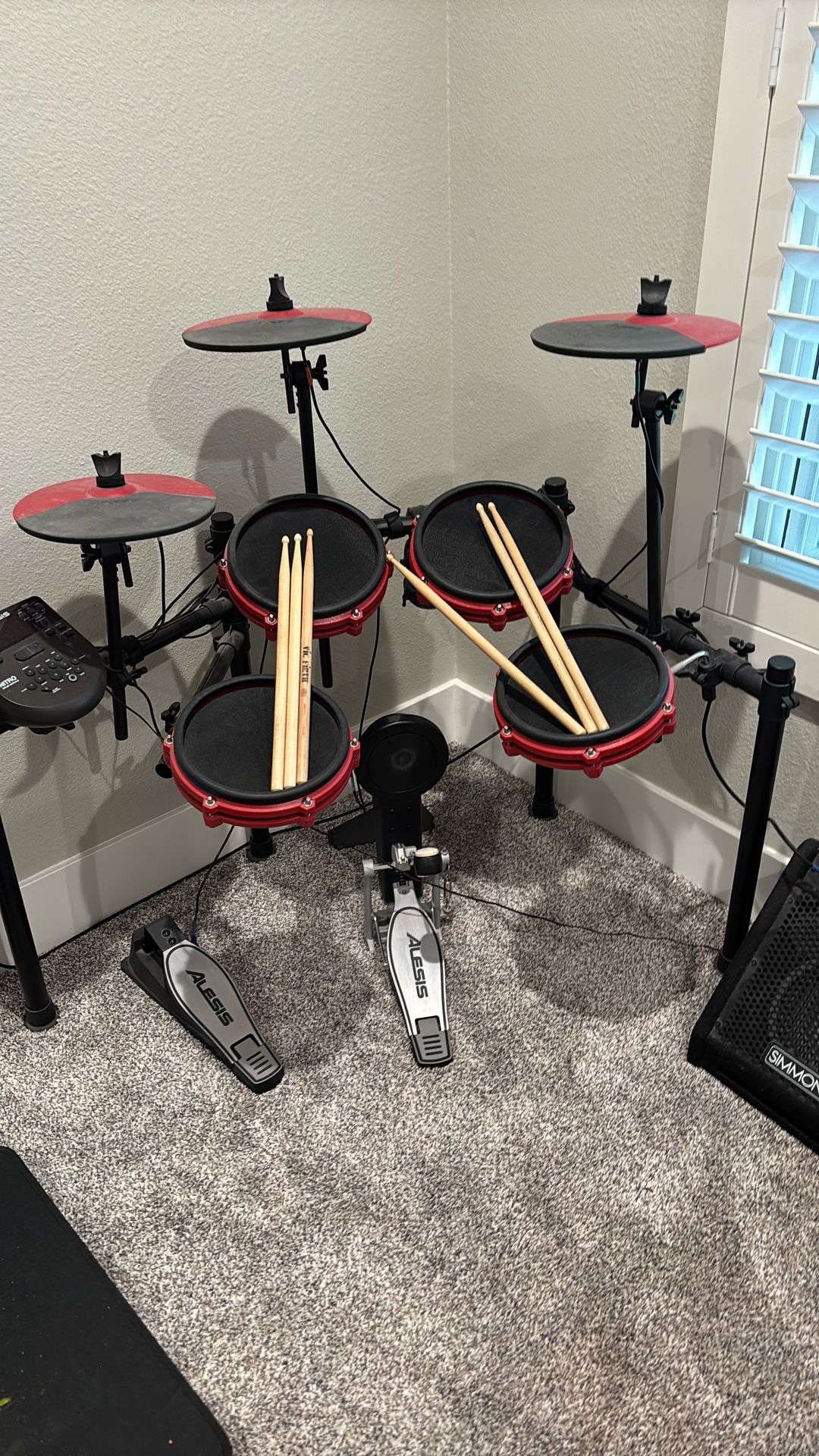 Alesis Electric Drum Set