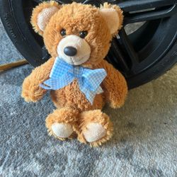 Little Teddy Bear