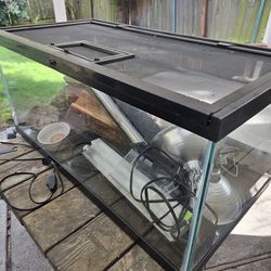 Lizard aquarium or fish