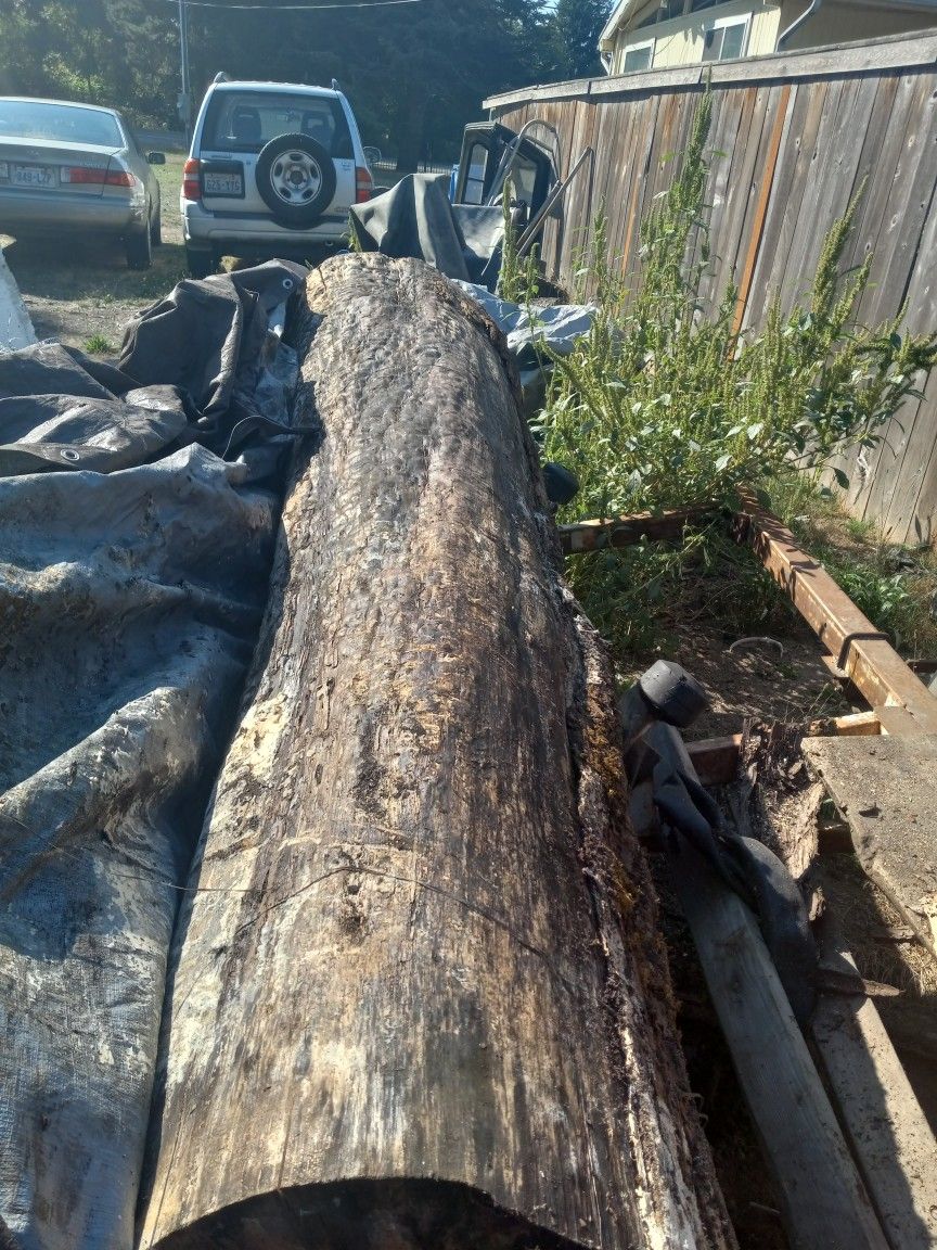 Maple Logs With Lots Of Figure In Them. 6 To Eight Feet Long 24in ROUND