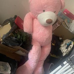 Huge Teddy Bear