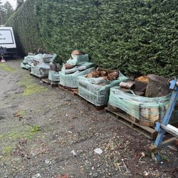 Variety Specie Firewood. Well Over A Cord