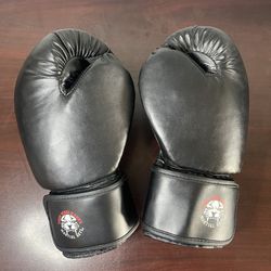 Tiger schulmanns boxing gloves Size L/XL