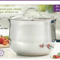 Olla de 15 qt Tri-ply Princess house