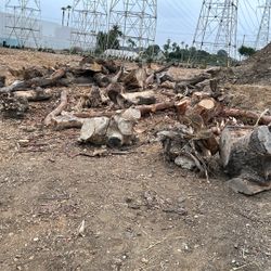 Firewood