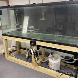 265 Gallon Tank & Equipment 