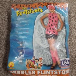 Adult The Flintstones Pebbles costume