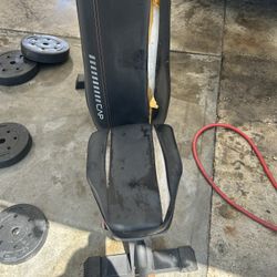 Bench + Weights + Bar 