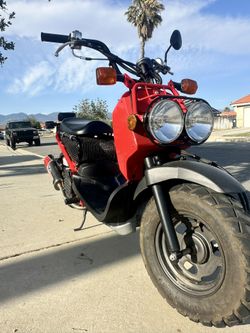 2009 Honda Ruckus