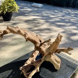 On sale: this beautiful piece of root driftwood.