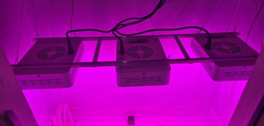3 MARS HYDRO LED Grow Light's With Built In Fan