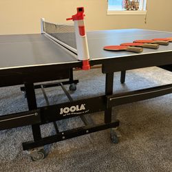 Ping Pong Table And Paddles