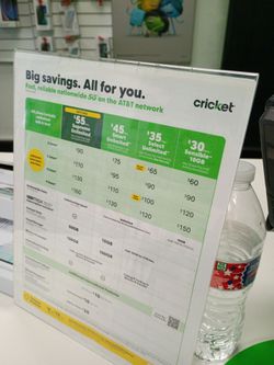Cricket plans